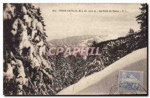 Postcard Old Peira Cava A M la Foret de Turini