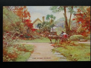 Ireland Irish Kerry KILLARNEY Dinas Cottage c1920s Postcard by Valentine