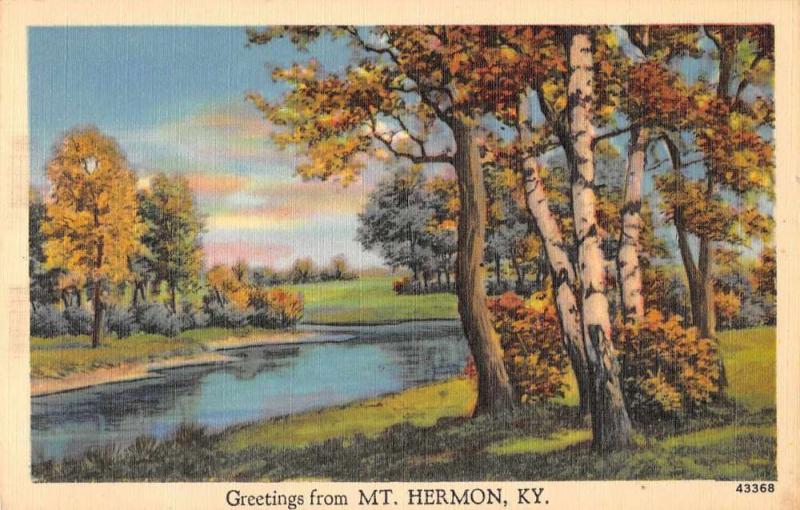 Mt Hermon Kentucky Greetings From scenic view lake or river antique pc Z43821