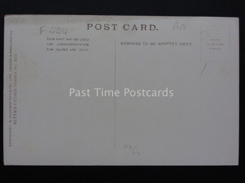 Wales: Pont-y-Pair, Bettws-y-Coed c1906 by S. Hildesheimer