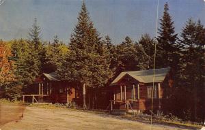 NH, New Hampshire MARSHFIELD CABINS~Mt Washington ROADSIDE 1966 Chrome Postcard