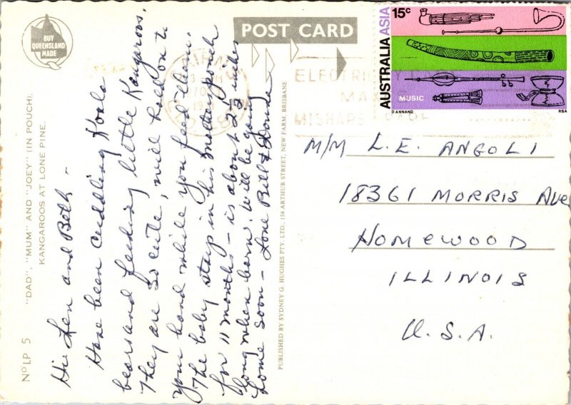Greetings from Lone Pine Australia Postcard Dad Mum Joey Kangaroos