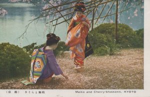 Postcard Maiko and Cherry Blossoms Kyoto Japan