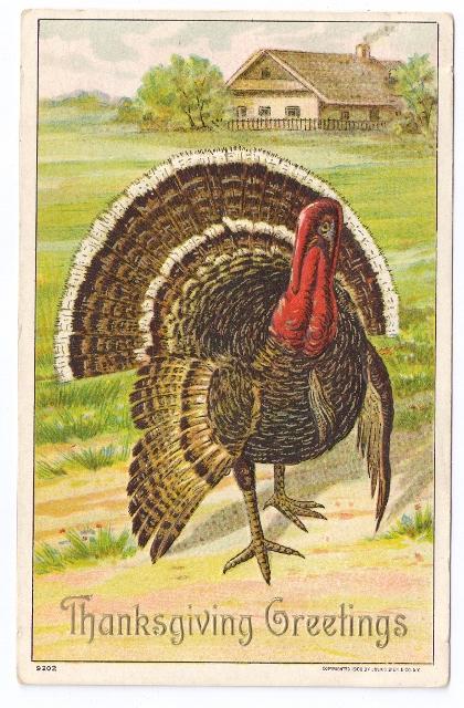 1908 Embossed Thanksgiving Postcard Julius Bien 9202 Farm Turkey Vintage