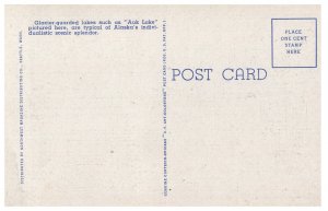 Auk Lake Mendenhall Glacier Juneau Alaska Vintage Linen Postcard