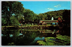 Kent Connecticut~Kent Train Station~Old 97~Water At Farm Pond~Vintage Postcard