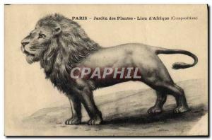 Old Postcard Felin Paris Garden plants Lion & # 39Afrique