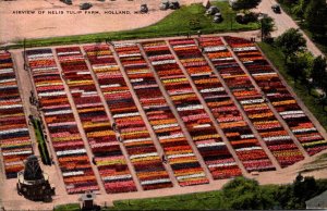 Michigan Holland Aeiral View Of Nelis Tulip Farm 1942