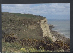 Sussex Postcard - Cliffs & Country Walk, Ecclesbourne Glen, Nr Hastings RR7129