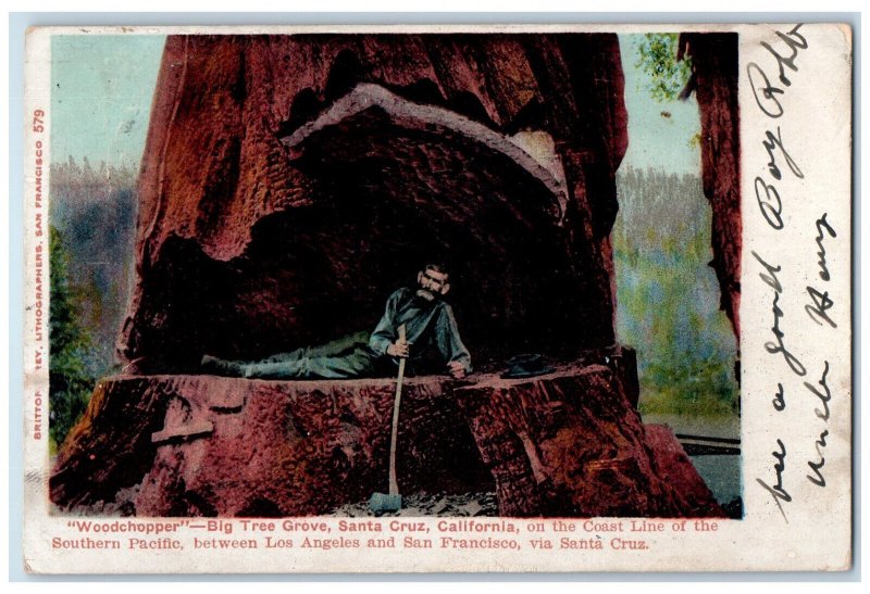 1906 Woodchopper Big Tree Grove Station Santa Cruz California CA Postcard