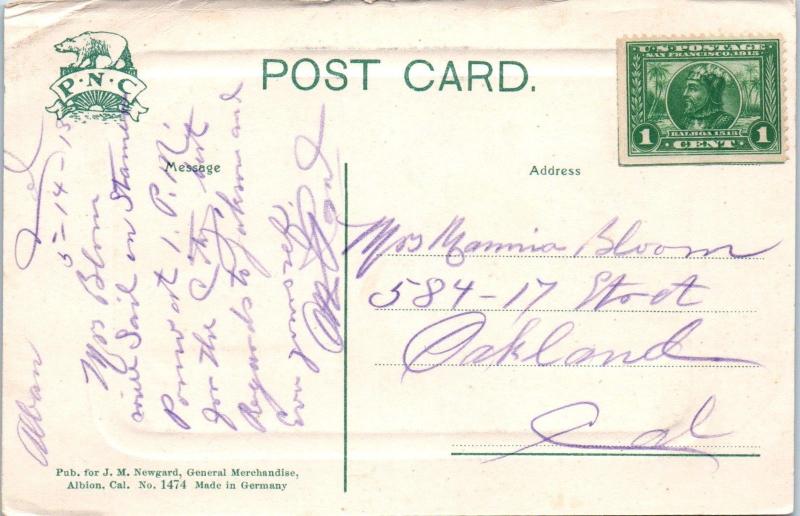 ALBION, CA  California   ALBION  LUMBER  MILL   1918   Handcolored   Postcard