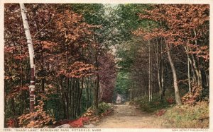 Vintage Postcard Shady Lane Berkshire Park Pittsfield Massachusetts Phostint Pub