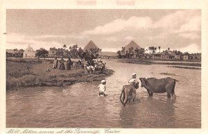 Native scenes at the Pyramids Cairo Egypt, Egypte, Africa Unused 