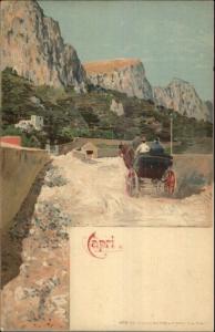 Capri Italy Horse Wagon on Road Richter & Co c1900 Postcard EXC COND