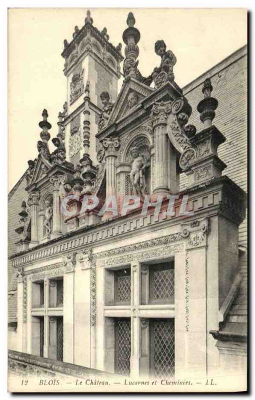 Old Postcard Blois Chateau skylights and Fireplaces