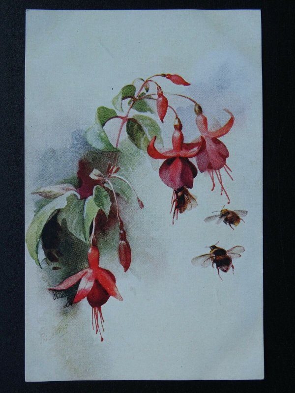 Bees Gathering Honey FUCHSIA Artist P. KING c1911Postcard by Raphael Tuck 9651