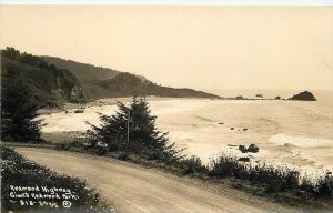 RPPC Postcard California Redwood Highway Patterson #818 23-4649