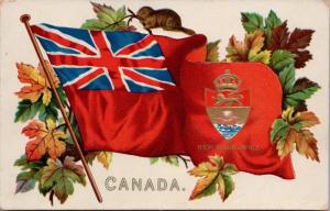 New Brunswick Canada NB Canadian Coat of Arms Flag TUCK #2911 Postcard E31