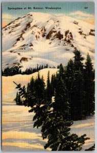 Springtime at Mt. Rainier Washington 1940s Linen Postcard Snow Evergreens