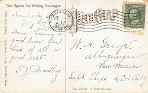 LPS05 SANDUSKY Ohio West House Town View Postcard