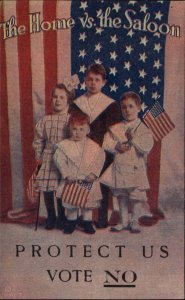Social History Prohibition Children American Flag w/ Amendment on Back PC