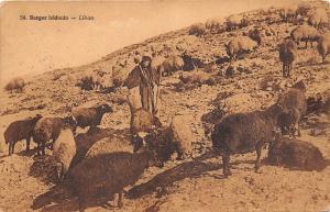 B57985 Liban Lebanon berger bedouin