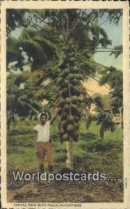 Papaya Tree with Fruit Philippines Unused 