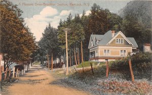 Pleasant Drive Hancock, New York Postcard