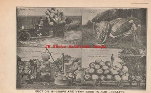 Exaggeration, WH Martin, Multi-View Scenes, Farmer, Watermelons, Peaches, Apples