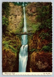 People on Bridge by Multnomah Falls Near Portland Oregon 4x6 Postcard 1595