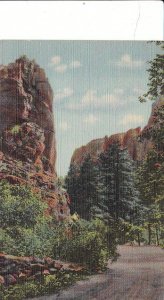 Postcard Mexican Saddle South Cheyenne Canon Colorado Springs CO