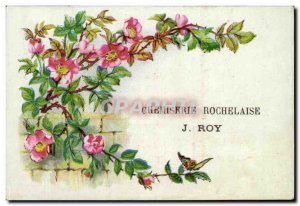 Chromo Chemiserie Rochelaise J Roy La Rochelle Flowers