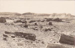 Arizona Logs In The Petrified Forest Real Photo