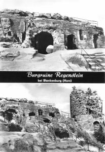 BG16924 burgruine regenstein bei blankenburg harz   germany CPSM 14.5x9cm