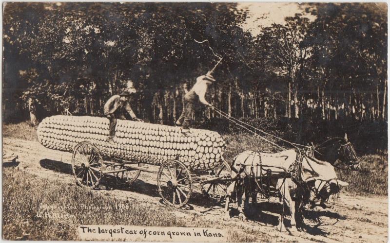 Kansas Ks Real Photo RPPC Postcard c1910 KANSAS CITY Exaggeration CORN Wagon