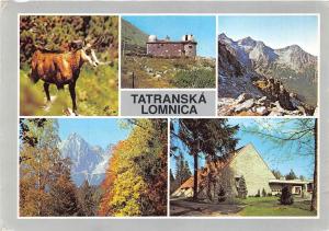 B27748 Vysoke Tatry Tatransky narodny park  slovakia