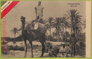 af6320 - LIBYA - VINTAGE POSTCARD - Tripoli - 1912-
