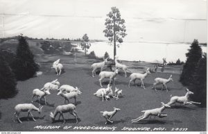 RP: SPOONER , Wisconsin, 1930-40s; Museum of Woodcarving # 1