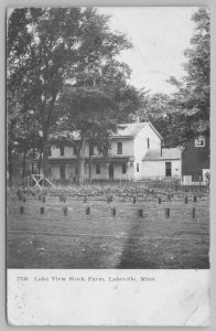 Lakeview Minnesota~Lake View Stock Farm~B&W~Large House~Barn~Postcard~1908