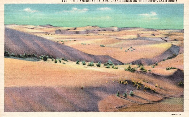 Vintage Postcard American Sahara Sand Dunes Scenic View Desert California CA