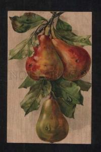 3071366 PEARS w/ Dew on Tree by KLEIN vintage GOM 1337 PC