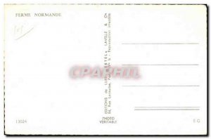 Modern Postcard Farm Normande cows