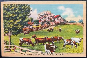 Vintage Postcard 1930-1945 Greetings from Garrettsville, Ohio (OH)