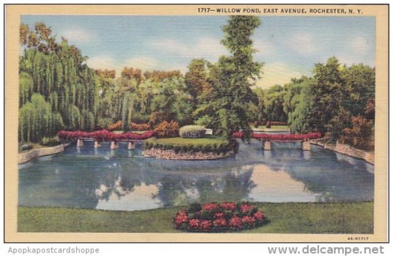 Willow Pond East Avenue Rochester New York