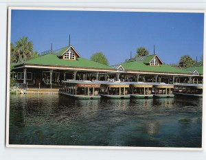 Postcard Glass Bottom Boats, Silver Springs, Florida