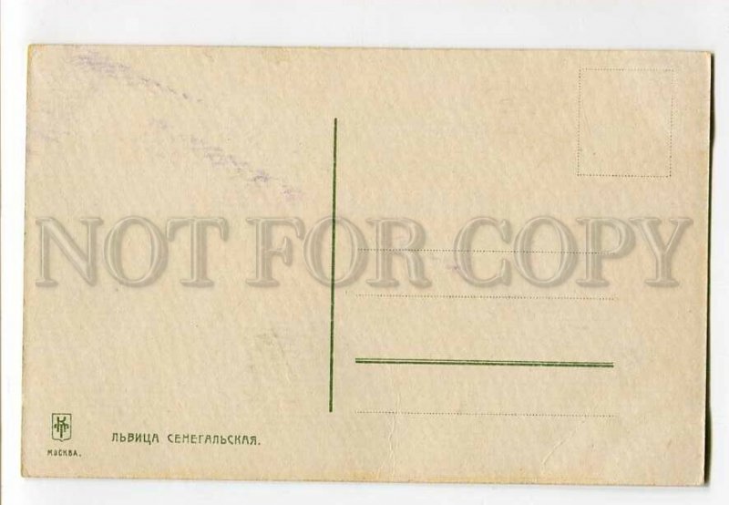 3132472 HUNT LIONESS vintage LITHO Russian RARE PC