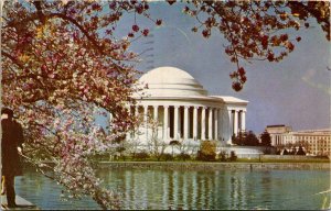 Thomas Jefferson Memorial Potomac Park Cherry Blossom Trees Pond Postcard WOB PM 