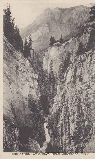 Colorado Montrose Box Canon At Ouray Albertype