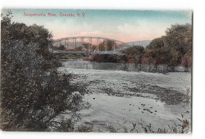 Oneonta New York NY Postcard 1909 Susquehanna River Bridge