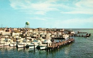 Ocean City, Maryland - The Famous Deep-Sea Sport Fishing Fleet - c1960